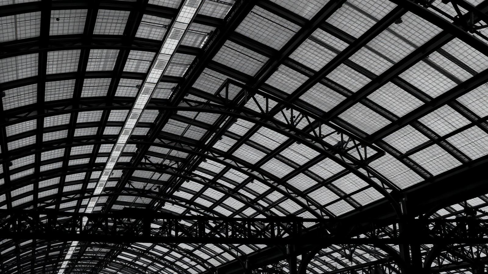 The Roof That Carries a City